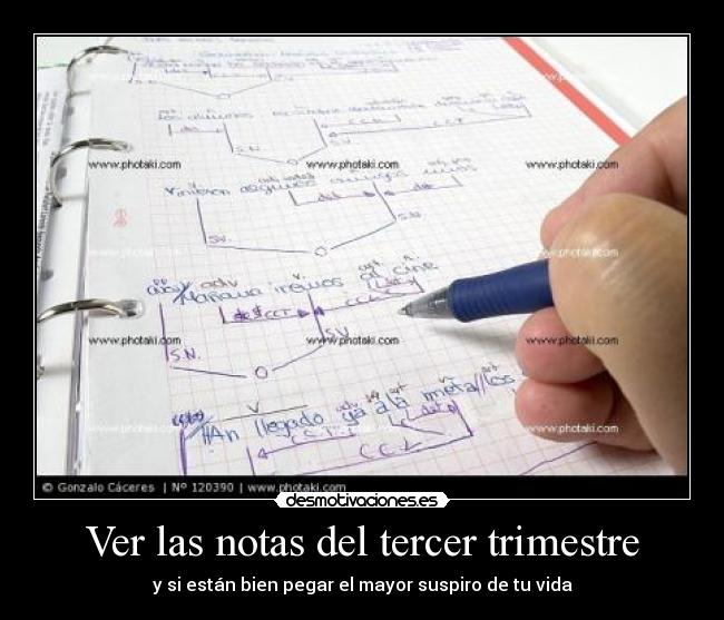 Ver las notas del tercer trimestre - y si están bien pegar el mayor suspiro de tu vida