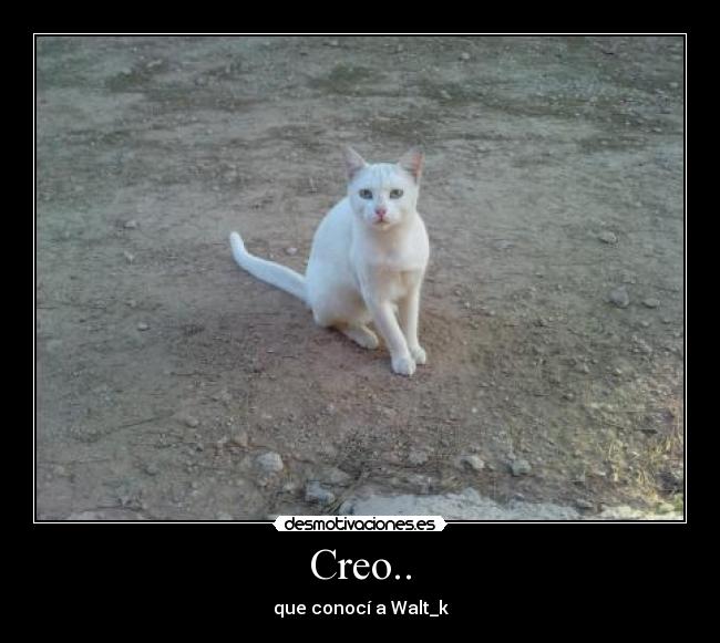Creo.. -