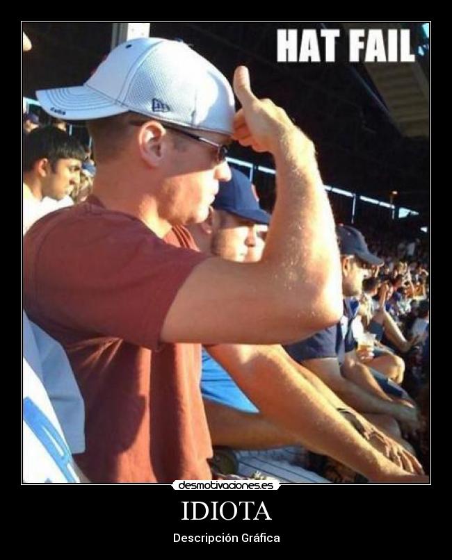 IDIOTA - Descripción Gráfica