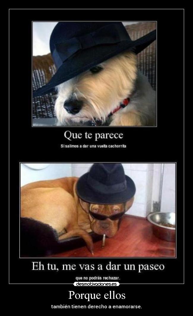 Porque ellos - también tienen derecho a enamorarse.