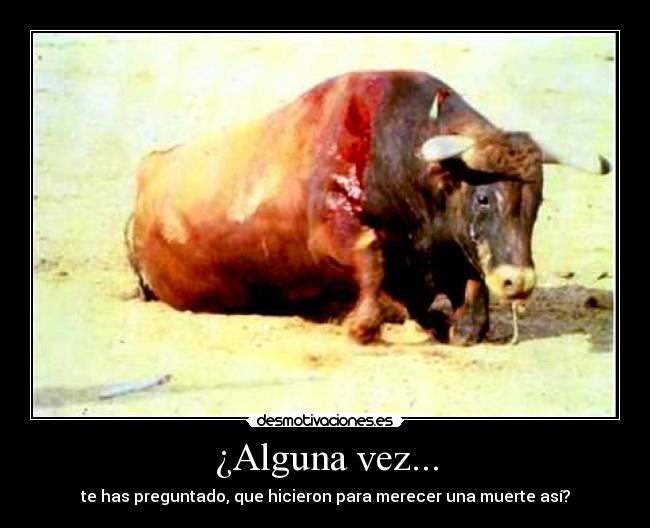 ¿Alguna vez... - 