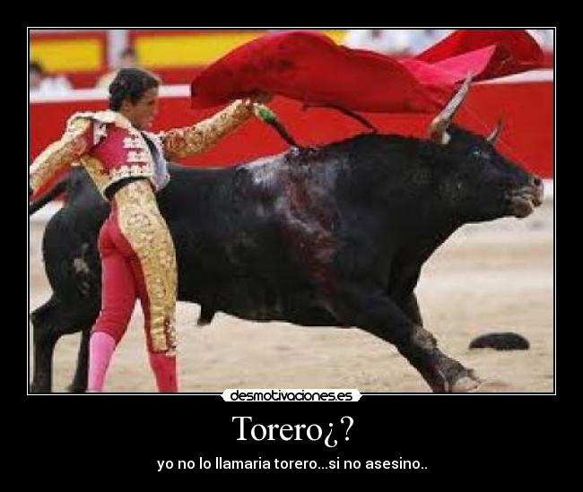 Torero¿? - yo no lo llamaria torero...si no asesino..
