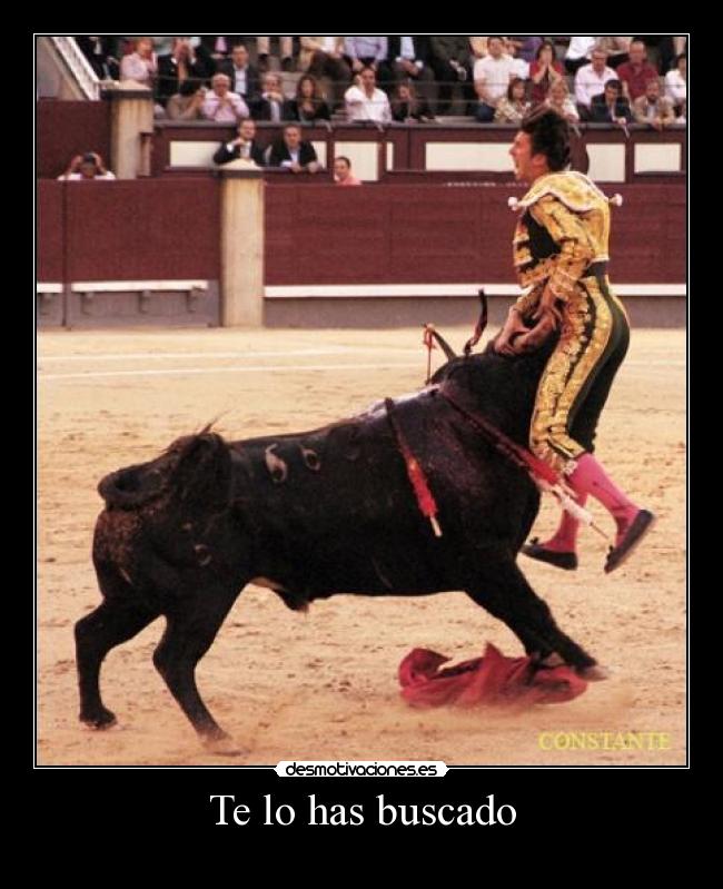 Te lo has buscado -
