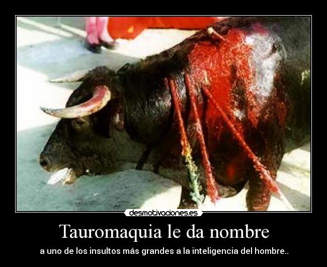 Tauromaquia le da nombre - a uno de los insultos más grandes a la inteligencia del hombre..