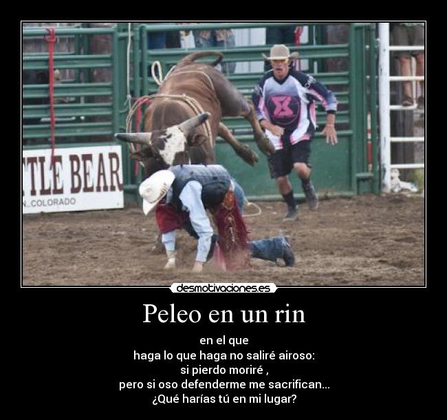 Peleo en un rin -