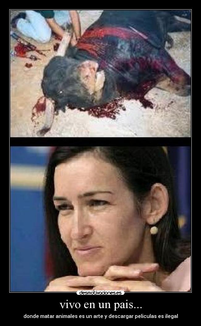 carteles descargas desmotivaciones