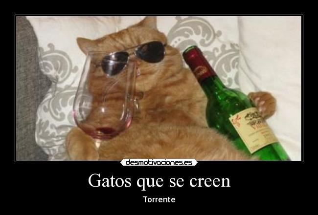 Gatos que se creen -