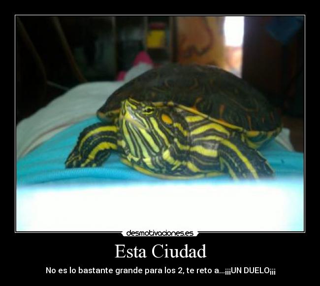 Esta Ciudad - No es lo bastante grande para los 2, te reto a...¡¡¡UN DUELO¡¡¡