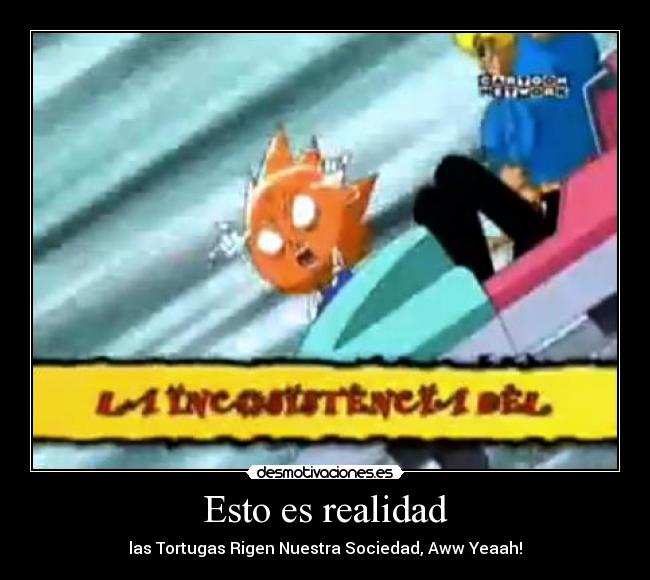 Esto es realidad - las Tortugas Rigen Nuestra Sociedad, Aww Yeaah!