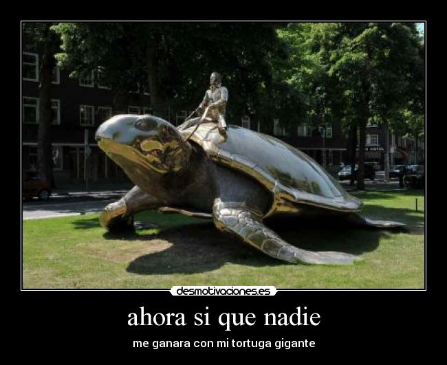 ahora si que nadie - me ganara con mi tortuga gigante