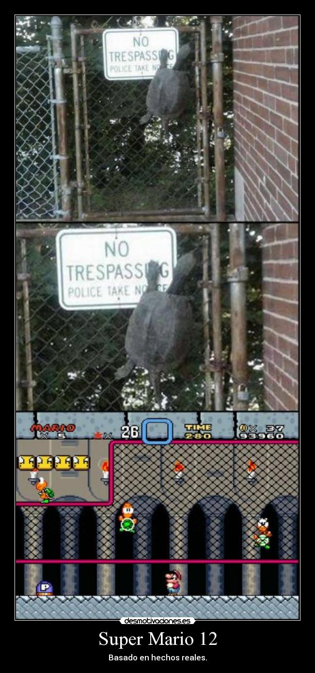 Super Mario 12 - 