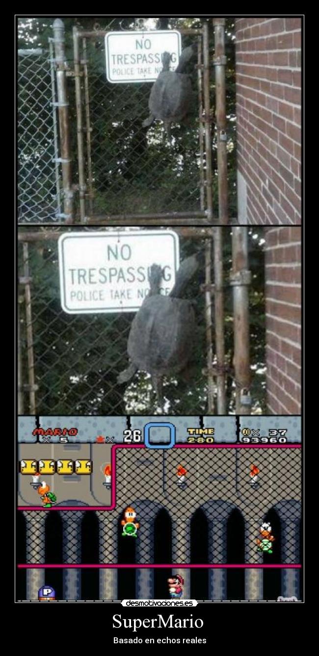 SuperMario - Basado en echos reales
