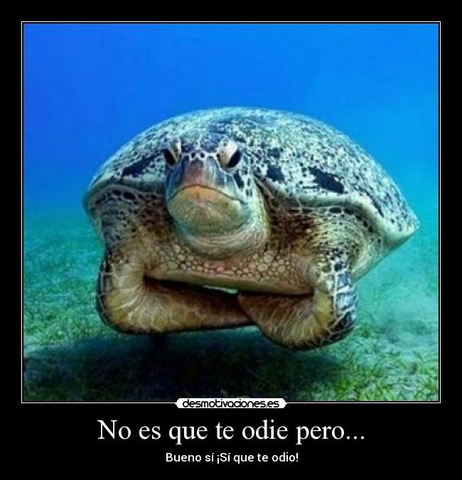 No es que te odie pero... - Bueno sí ¡Sí que te odio!