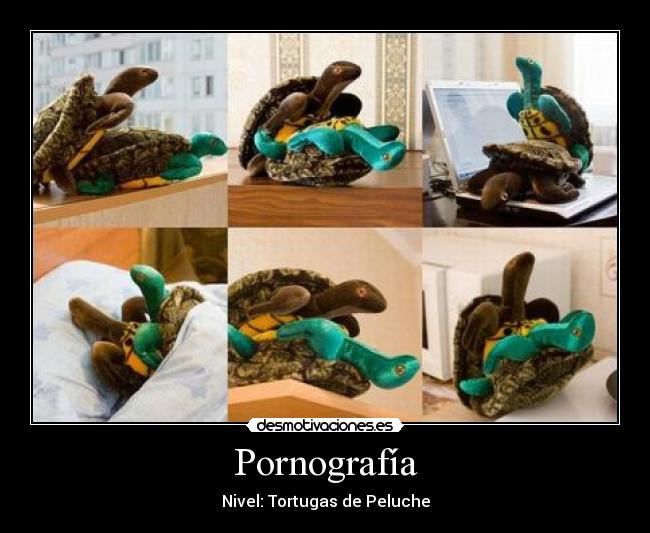 Pornografía - Nivel: Tortugas de Peluche