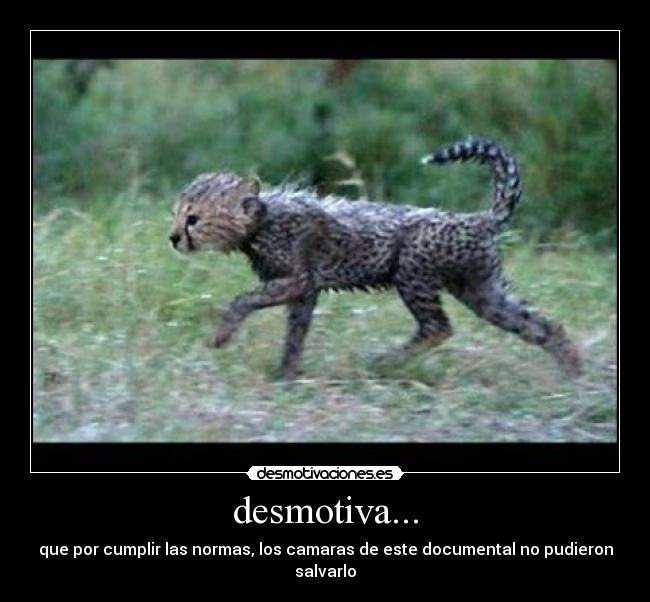 desmotiva... -