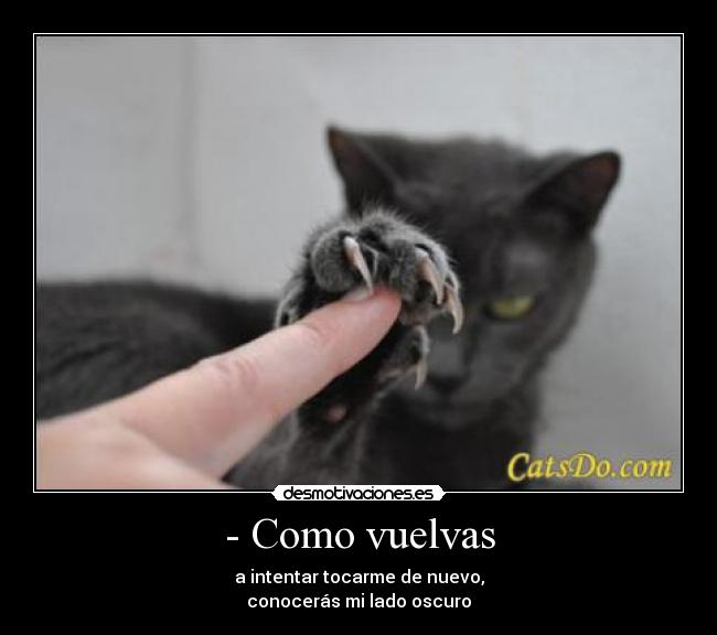 - Como vuelvas - a intentar tocarme de nuevo,
conocerás mi lado oscuro