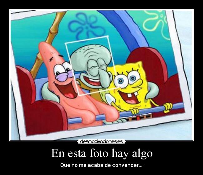 En esta foto hay algo - 