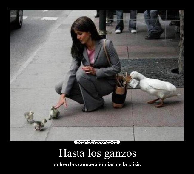 Hasta los ganzos - 