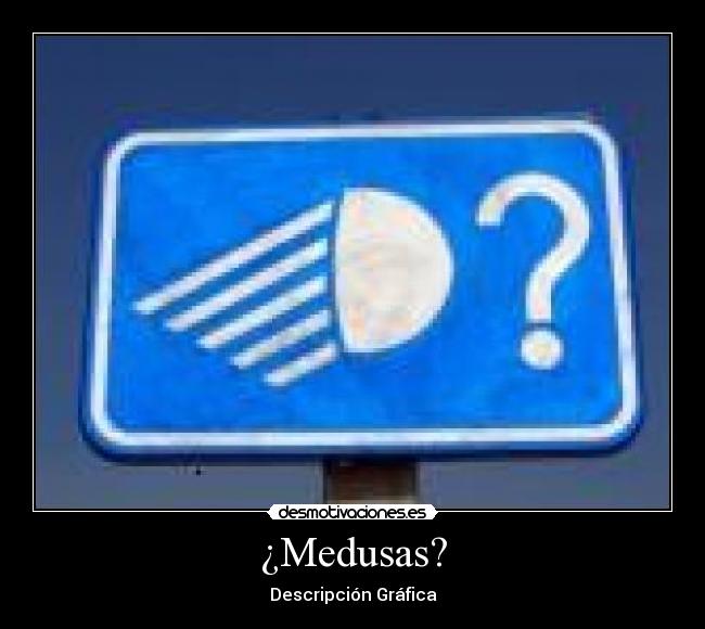 ¿Medusas? - 