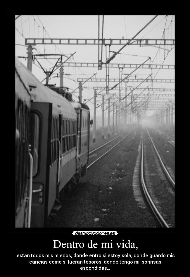 carteles vida two desmotivaciones