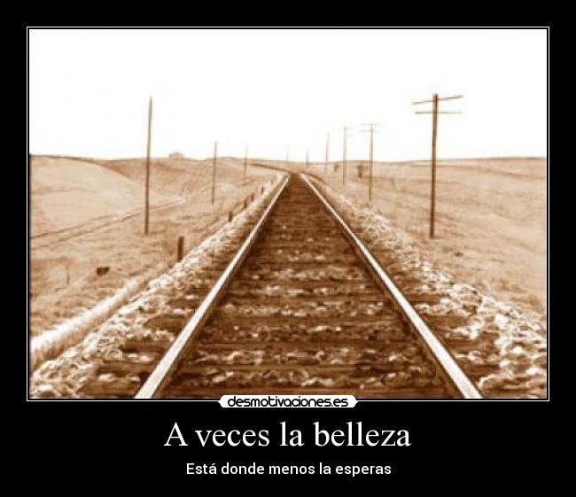 A veces la belleza - Está donde menos la esperas
