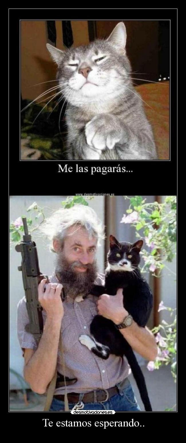 Te estamos esperando.. - 