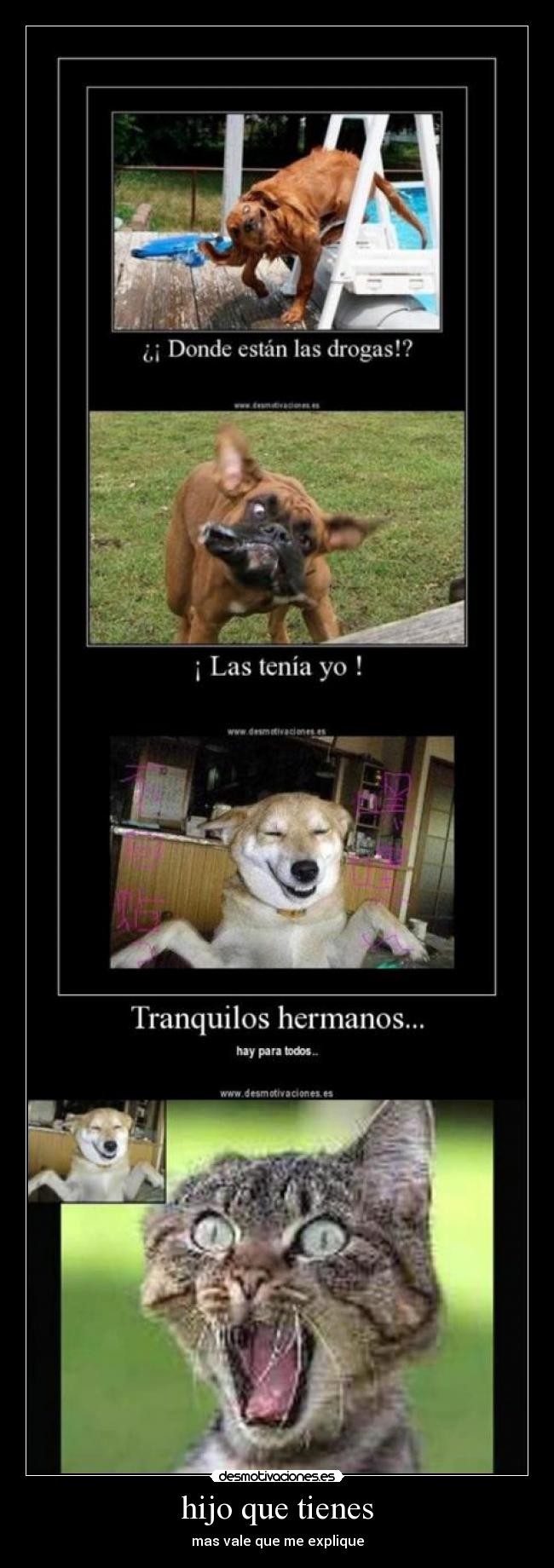 hijo que tienes - mas vale que me explique