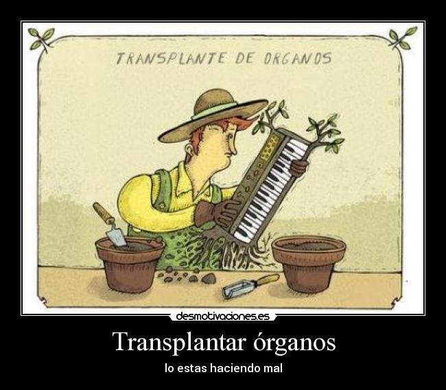 Transplantar órganos -