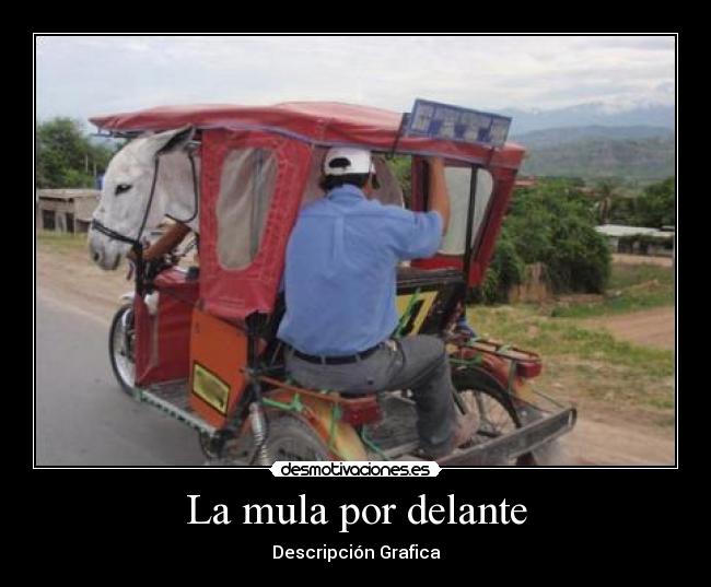 La mula por delante - Descripción Grafica