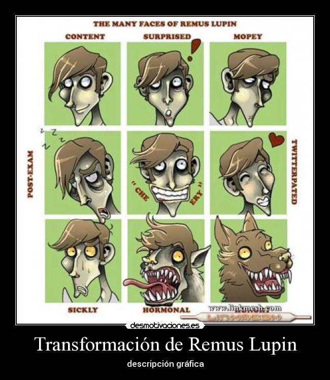 Transformación de Remus Lupin - descripción gráfica
