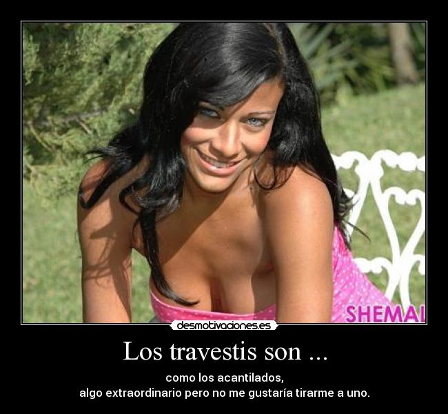 Los travestis son ... - como los acantilados,
algo extraordinario pero no me gustaría tirarme a uno.
