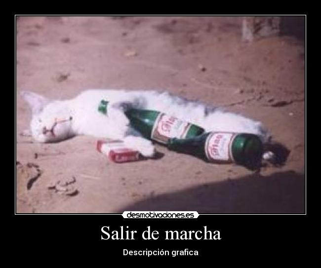 carteles jaje desmotivaciones