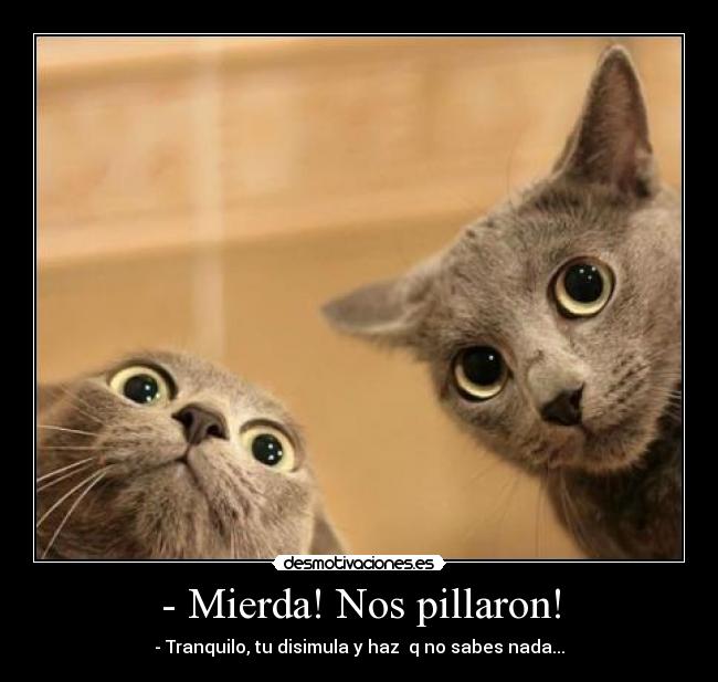 - Mierda! Nos pillaron! -