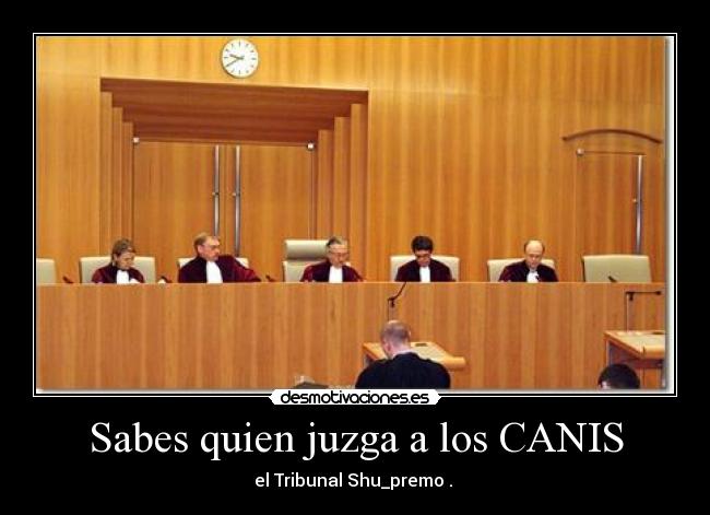 Sabes quien juzga a los CANIS - el Tribunal Shu_premo . 