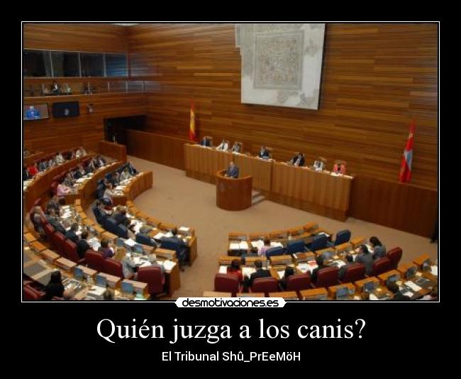 Quién juzga a los canis? - El Tribunal Shû_PrEeMöH