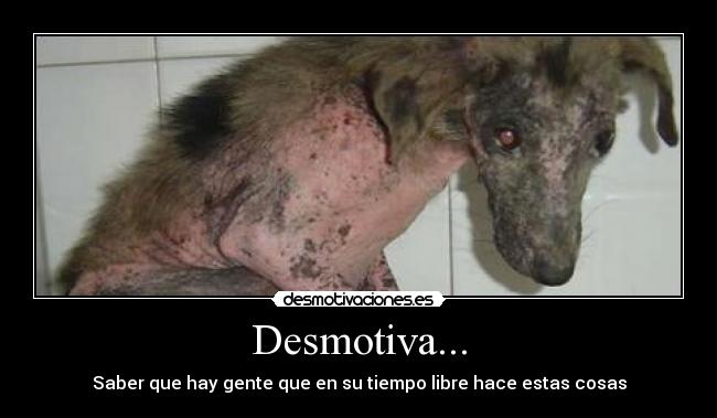 Desmotiva... - Saber que hay gente que en su tiempo libre hace estas cosas
