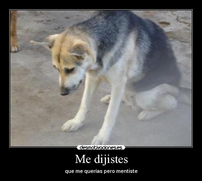 Me dijistes - que me querías pero mentiste