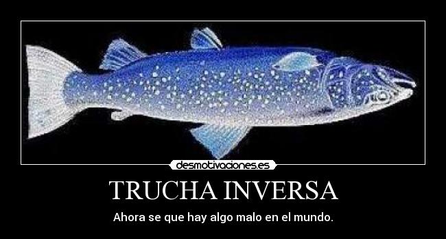 TRUCHA INVERSA - Ahora se que hay algo malo en el mundo.