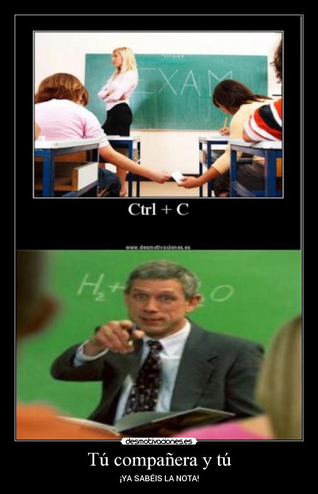 Tú compañera y tú -
