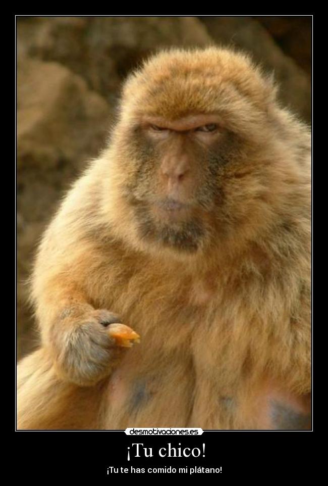 ¡Tu chico! - ¡Tu te has comido mi plátano!
