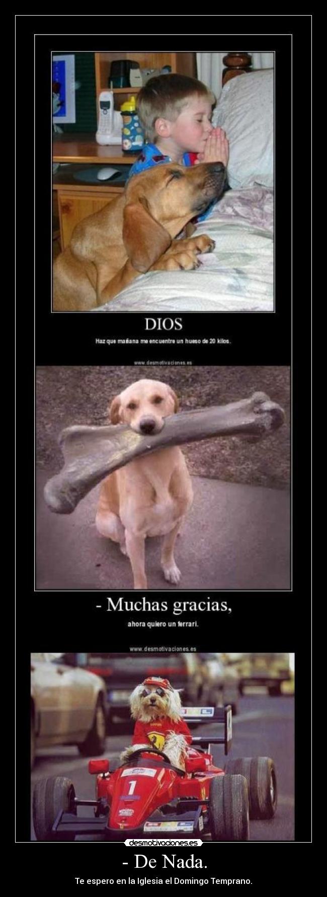 carteles dios perro ferrari hueso desmotivaciones