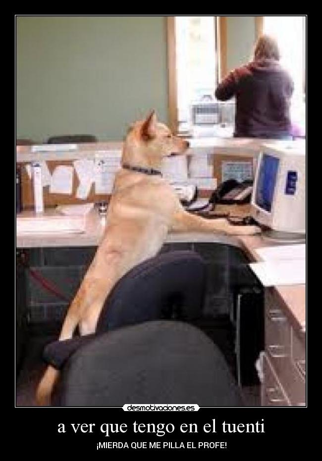 a ver que tengo en el tuenti - 