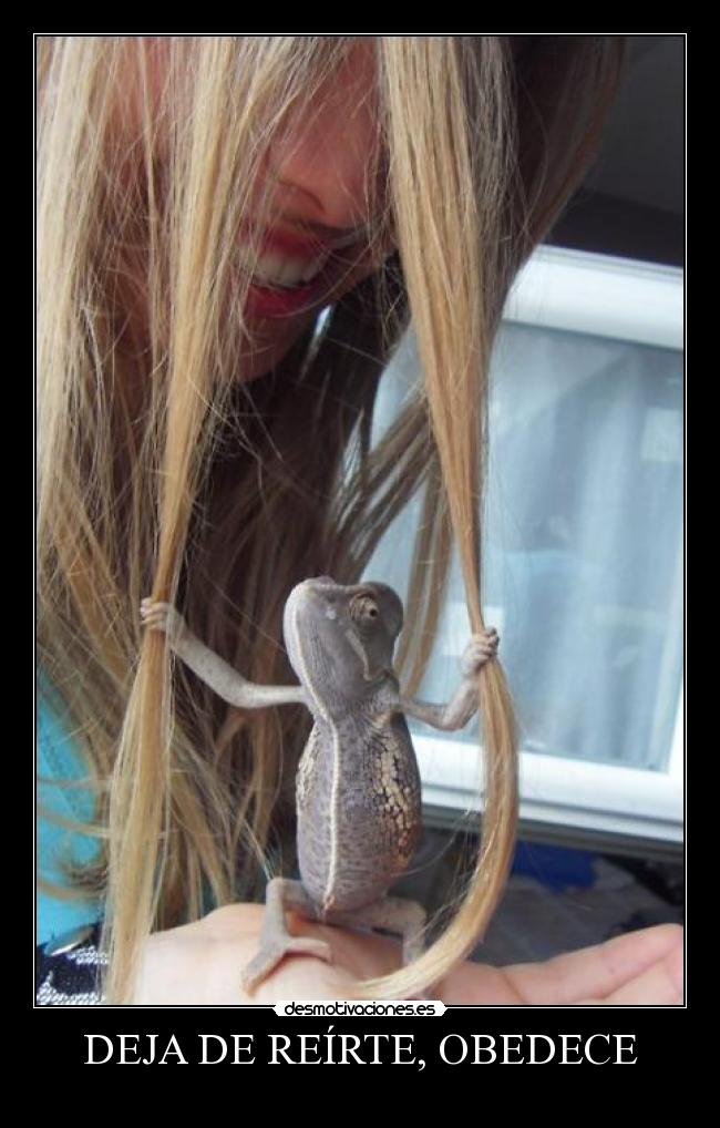 DEJA DE REÍRTE, OBEDECE -