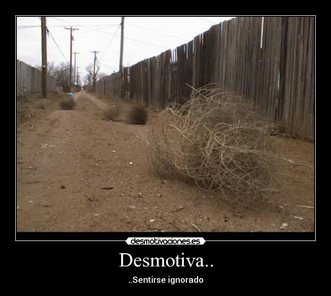 Desmotiva.. - 
