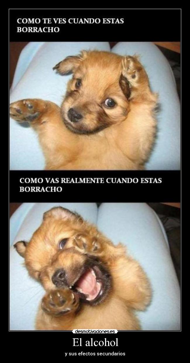 El alcohol -