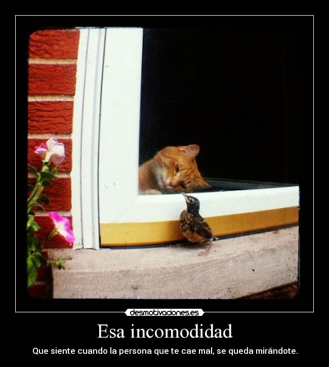 Esa incomodidad - Que siente cuando la persona que te cae mal, se queda mirándote.