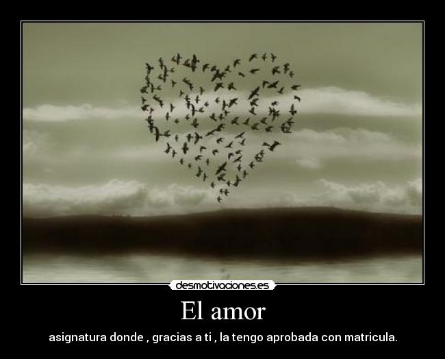 El amor - 