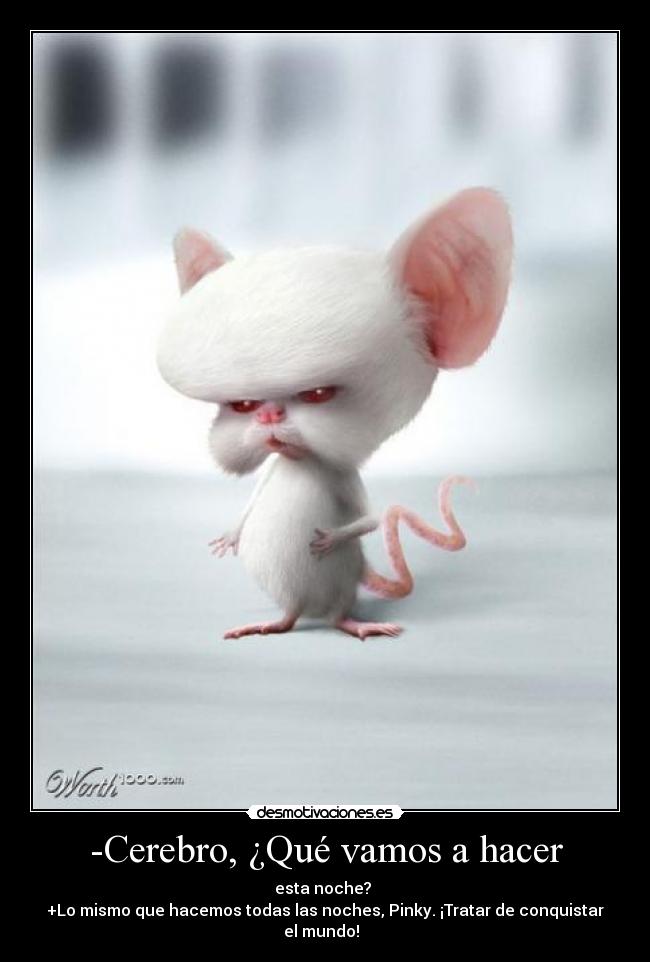 -Cerebro, ¿Qué vamos a hacer - 