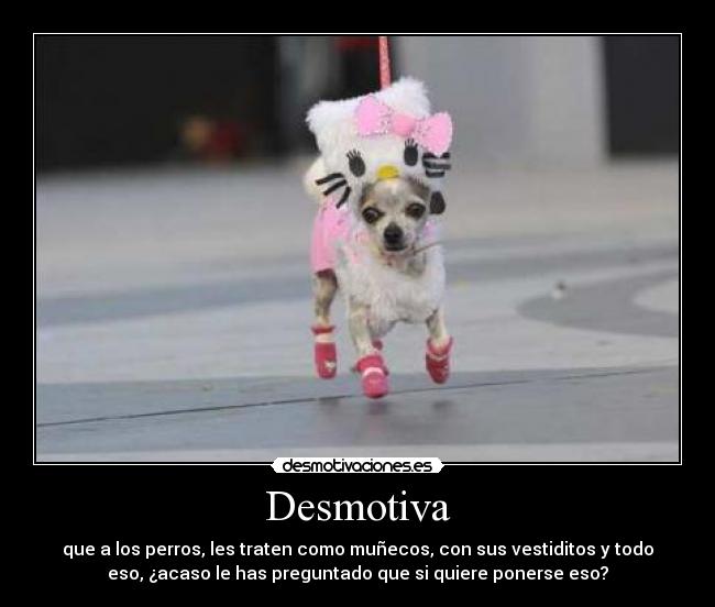 Desmotiva - que a los perros, les traten como muñecos, con sus vestiditos y todo
eso, ¿acaso le has preguntado que si quiere ponerse eso?