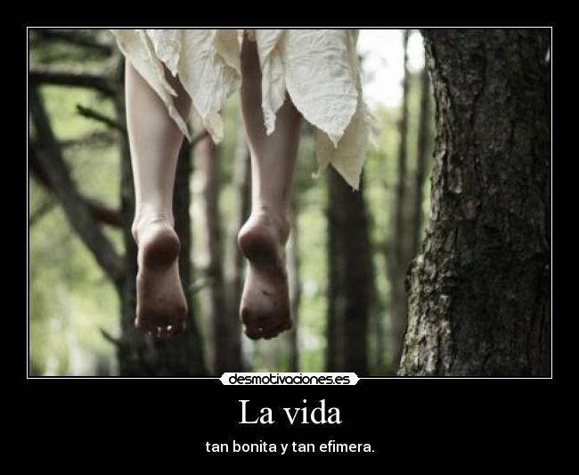 La vida - 